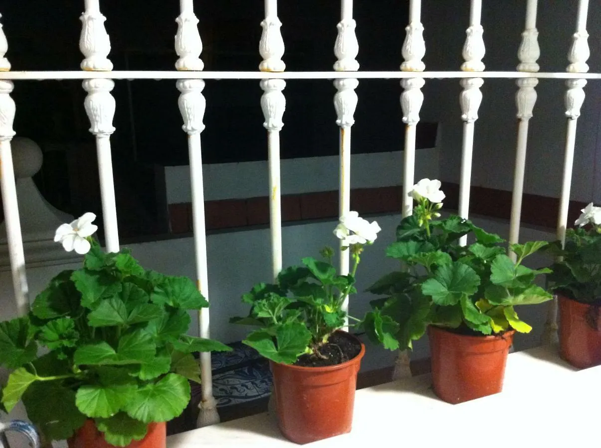 Appartement Atico Amistad Sevilla